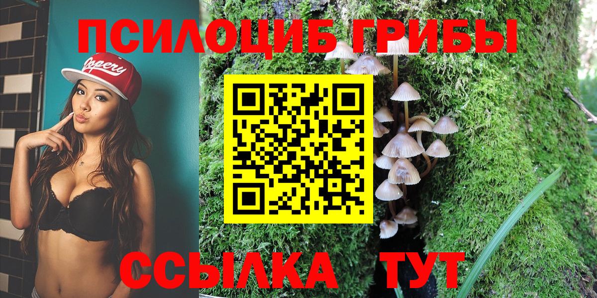 Сочи  Псилоцибиновые грибы мухоморы  цены наркотик  Вход с VPN 
